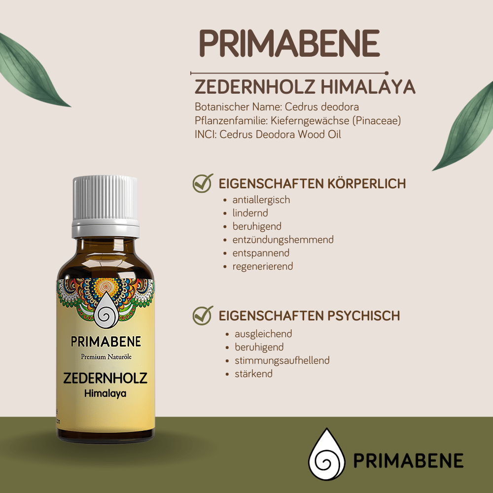 Bild von Zedernholz, Himalaya, 100% rein ätherisches Öl